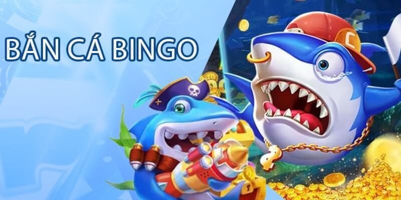 Sức hút đưa ngư thủ đến với bắn cá bingo