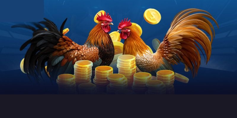 Tìm hiểu định nghĩa về hình thức đá gà casino